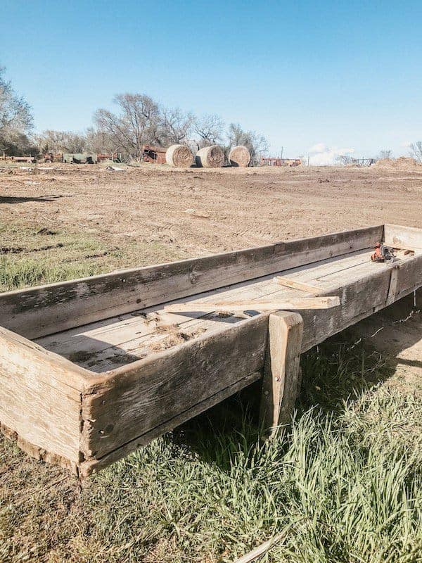 old cattle feed bunk