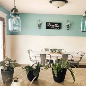 3 houseplants on kitchen countertop with white watering can