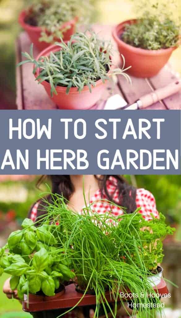 herb gardening in containers