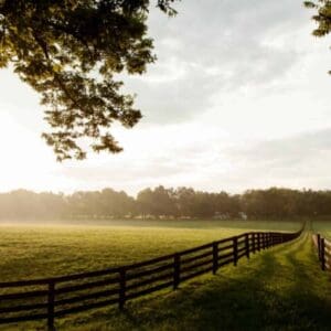 homestead pasture view