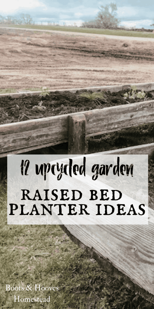 up cycled raised garden beds from feed bunks