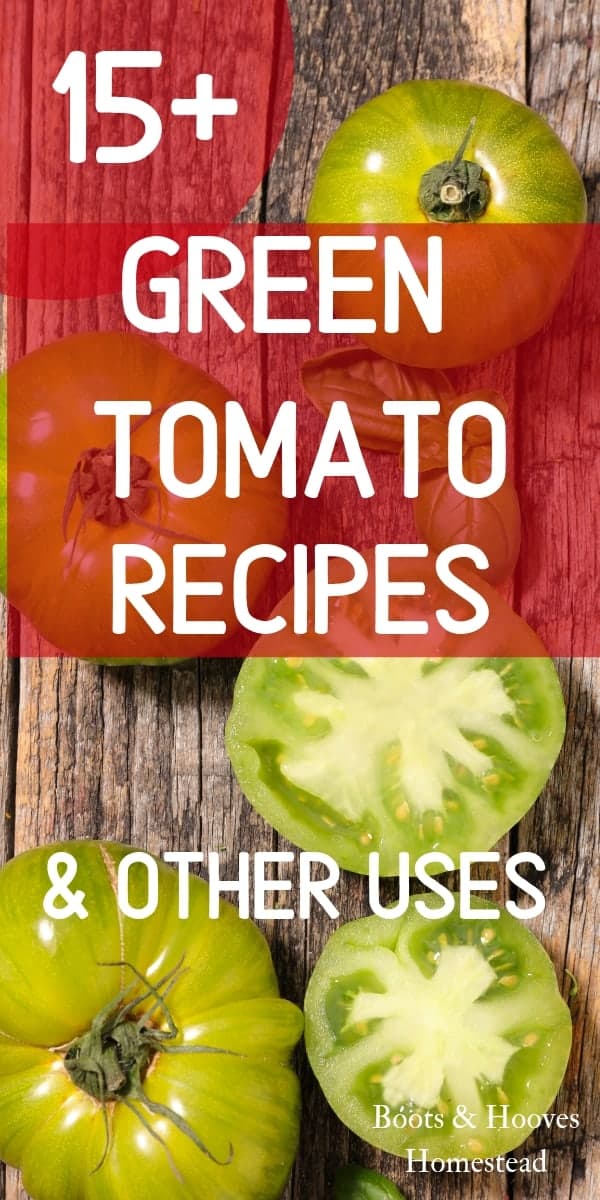 What to do with Green Tomatoes — 20+ Delicious Recipes & Ideas - Boots ...