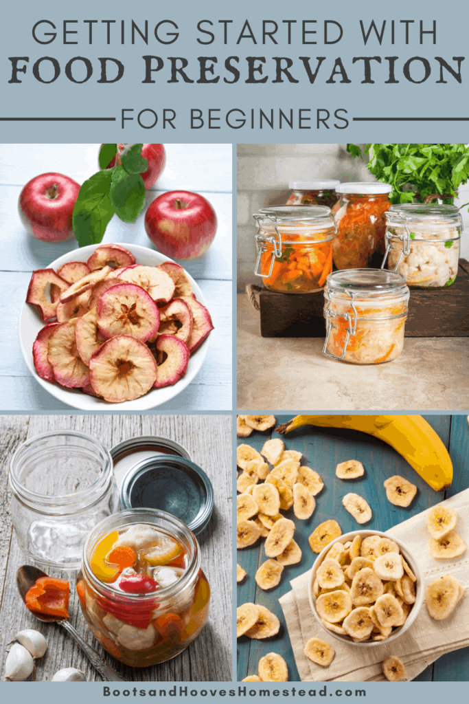 photo collage of food preservation - dried apples and bananas, canning sauerkraut and tomatoes