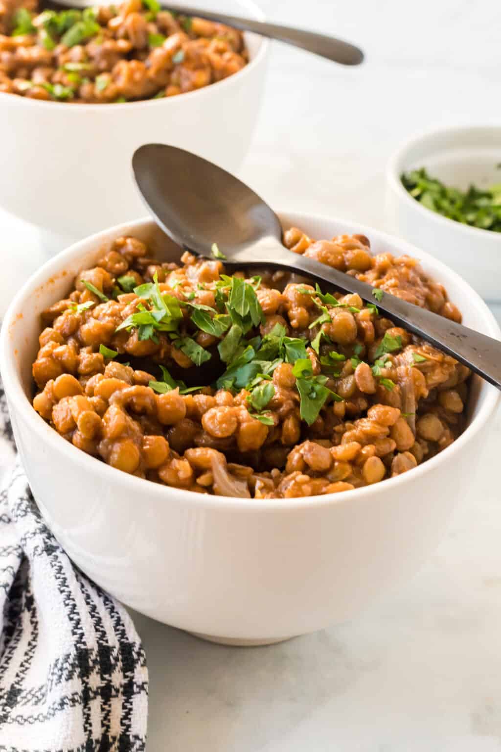 Mediterranean Lentil Soup - Boots & Hooves Homestead