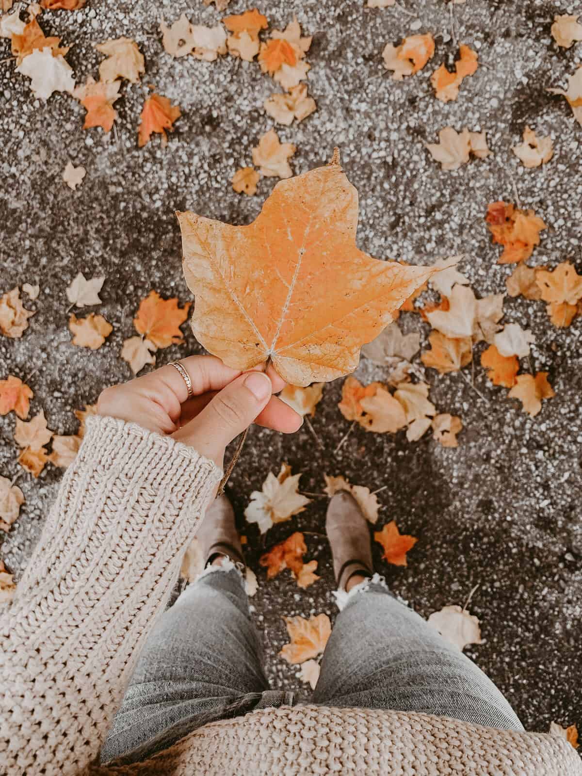 holding a fall colored leaf outside.