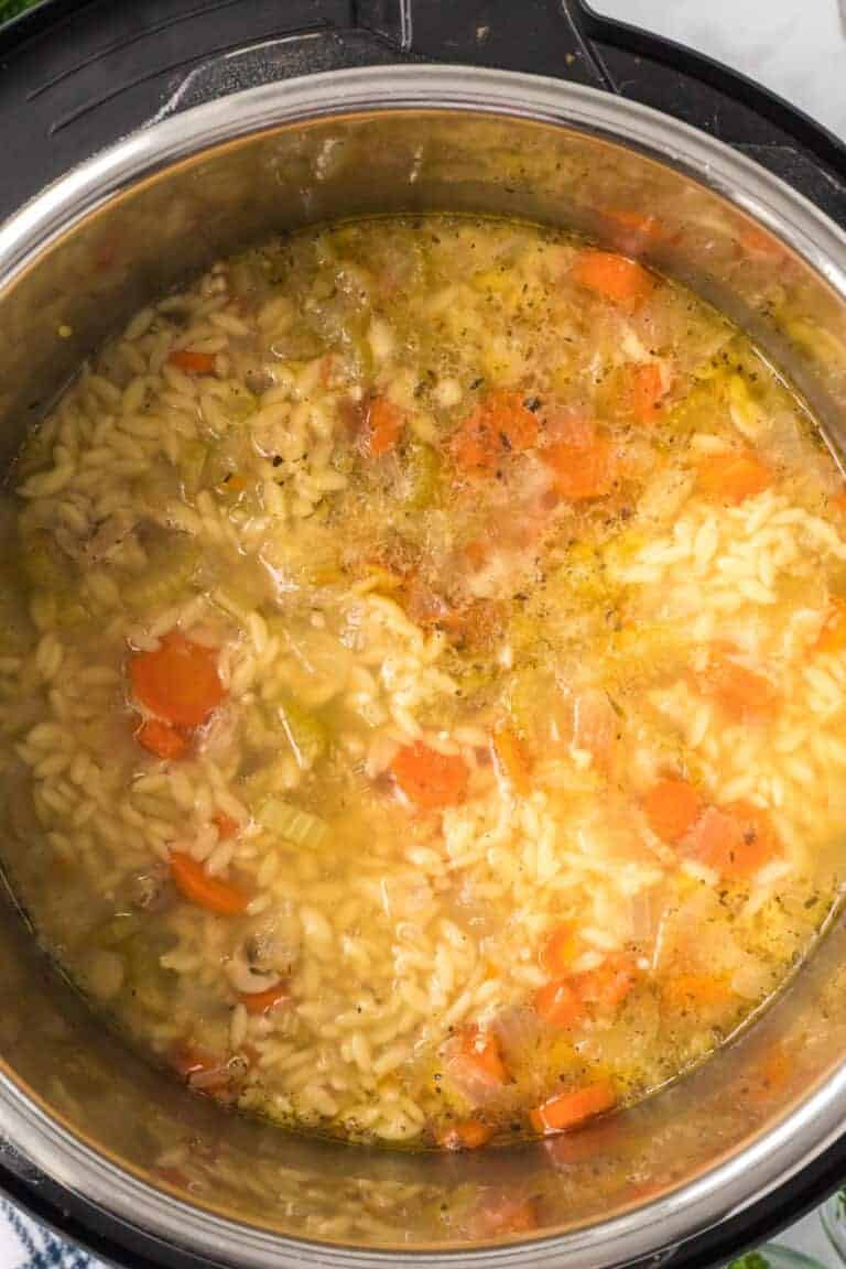 Ninja Foodi Chicken Soup Recipe Boots & Hooves Homestead