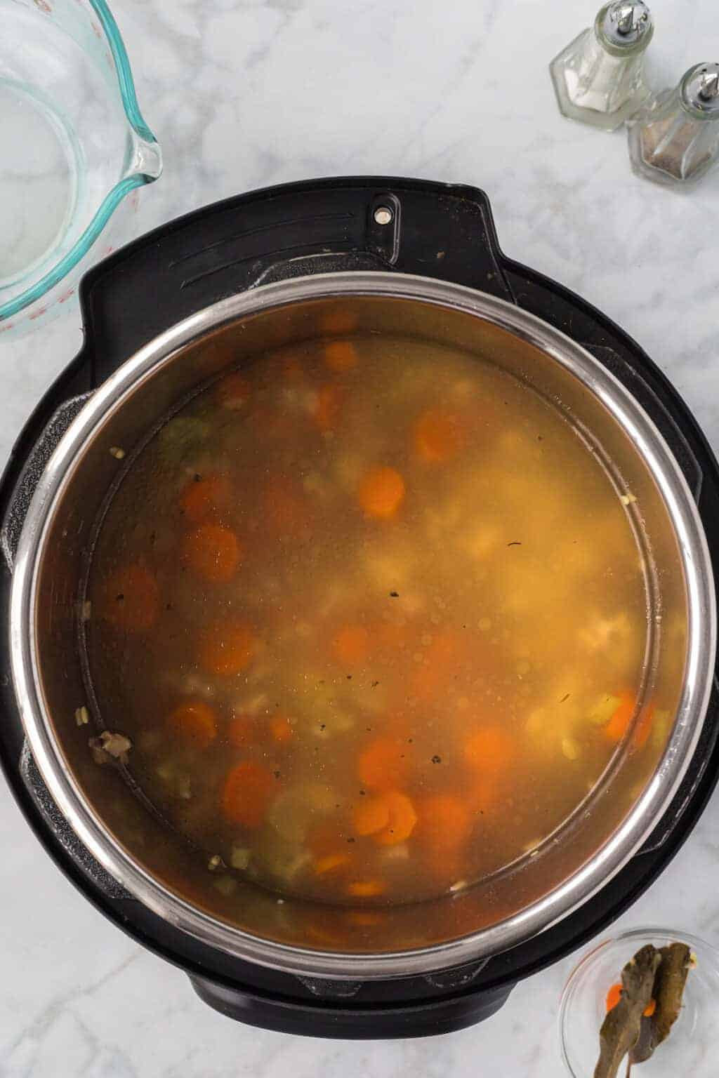 Ninja Foodi Chicken Soup Recipe Boots & Hooves Homestead