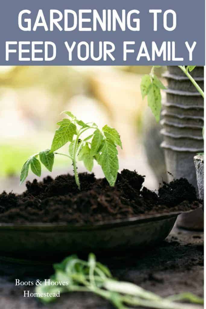 gardening to feed your family