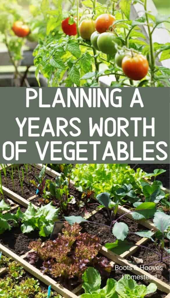 planning out a vegetable garden