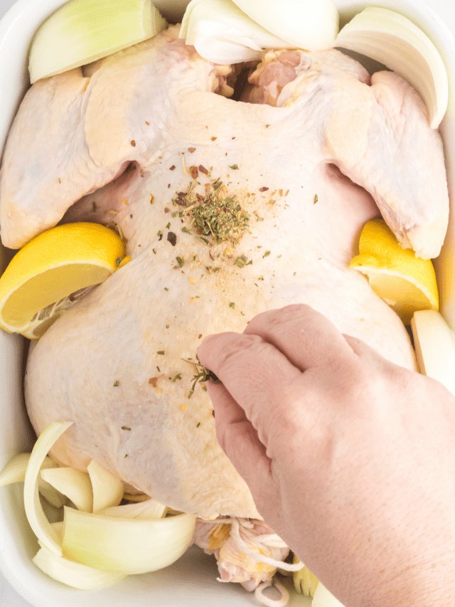 sprinkling seasonings on a whole chicken with lemons and onions to the sides and inside of a white casserole dish.
