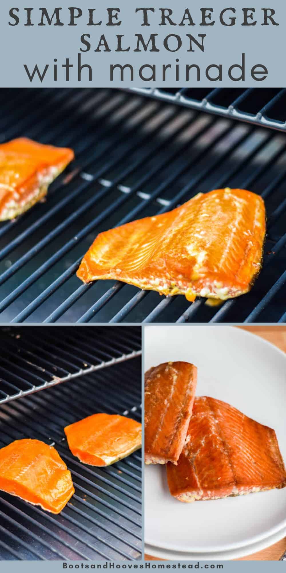 Traeger Grilled Salmon with Marinade Boots & Hooves Homestead