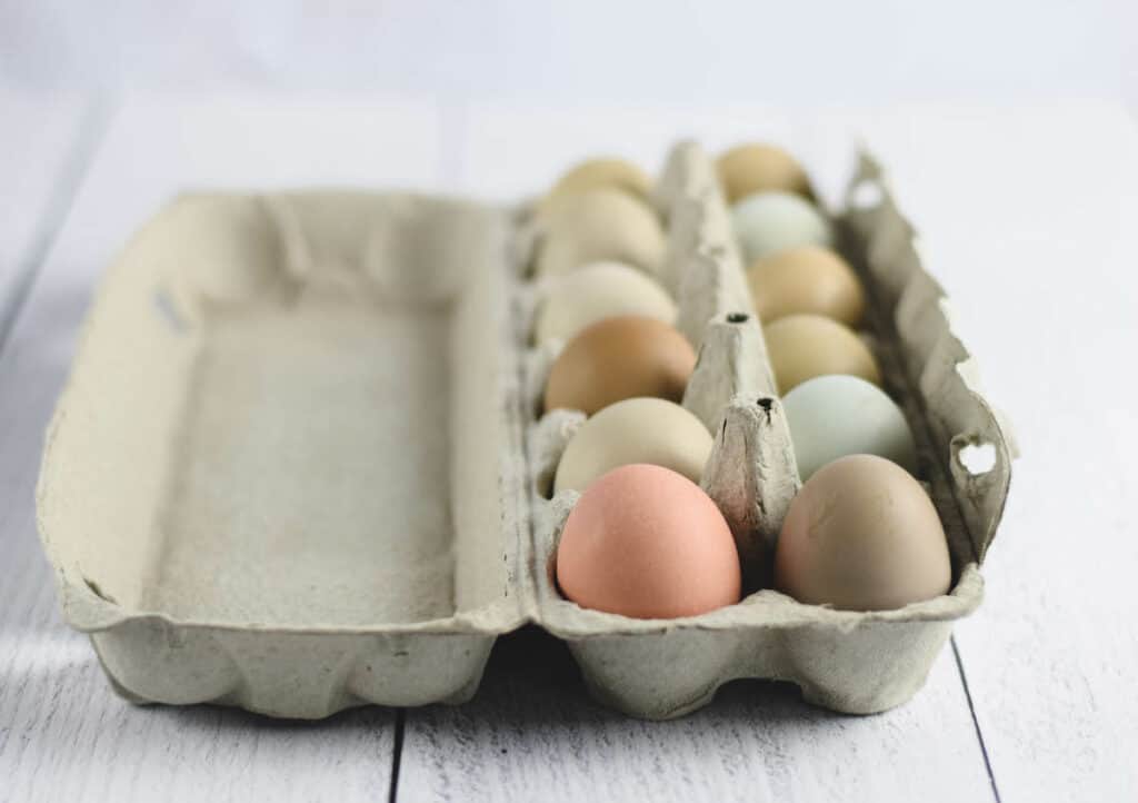 farm fresh eggs in a variety of colors in a cardboard egg carton