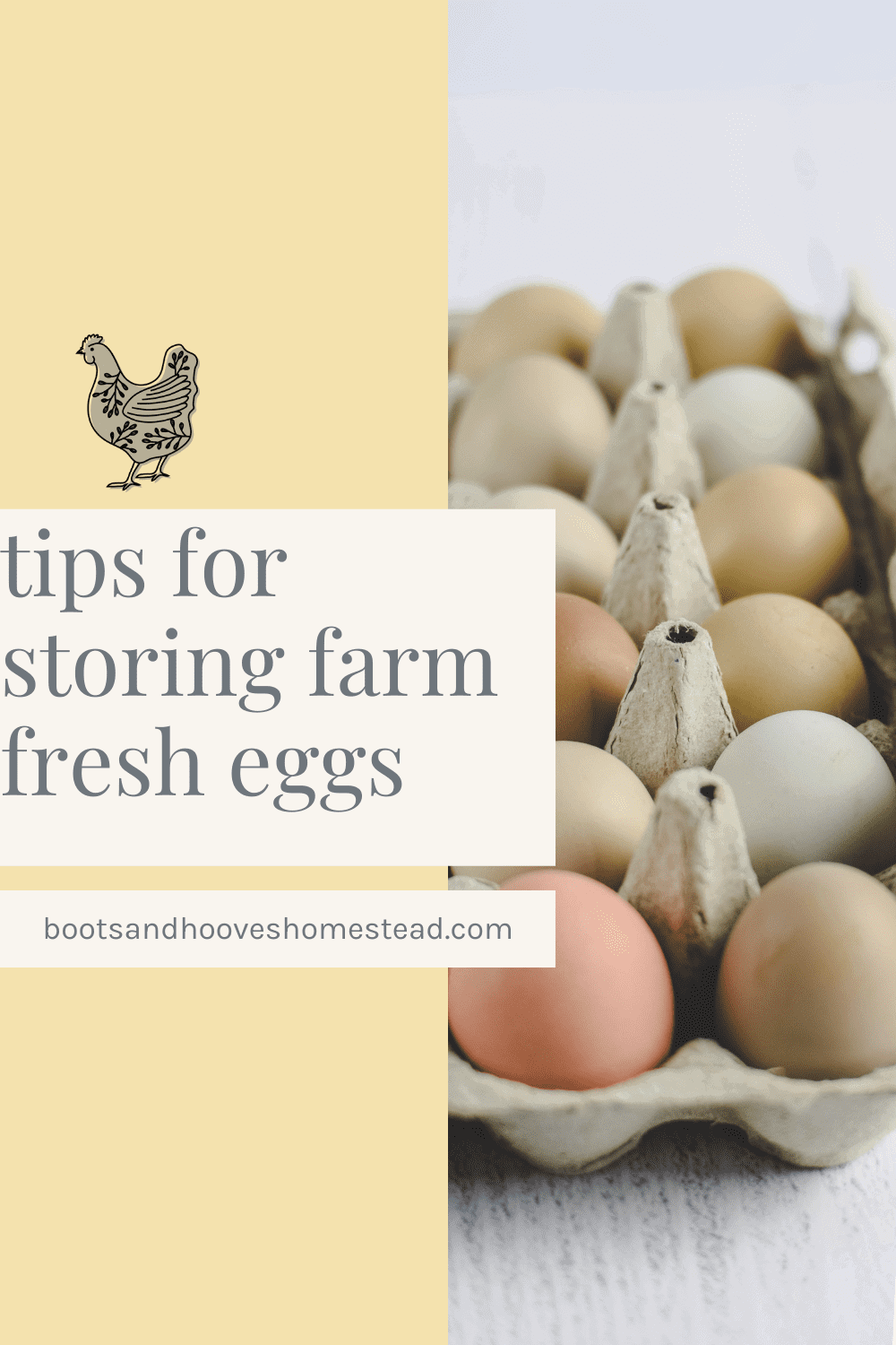 Do you need to refrigerate eggs? Boots & Hooves Homestead