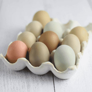 white ceramic egg tray filled with farm fresh eggs in various colors