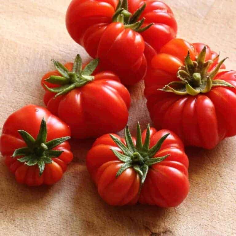5 Best Tomato Varieties for the Potager