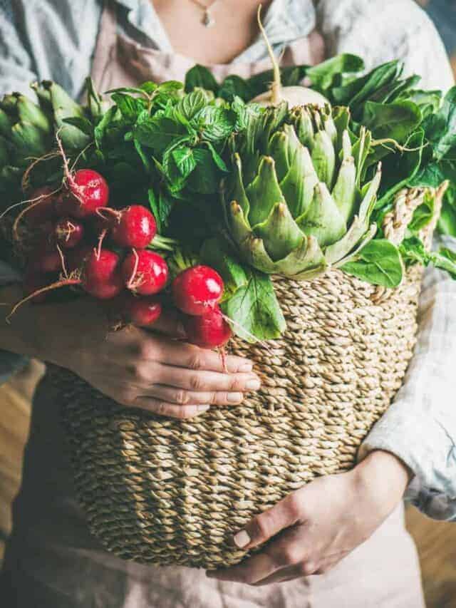 lady carrying basket of fresh harvested vegetables