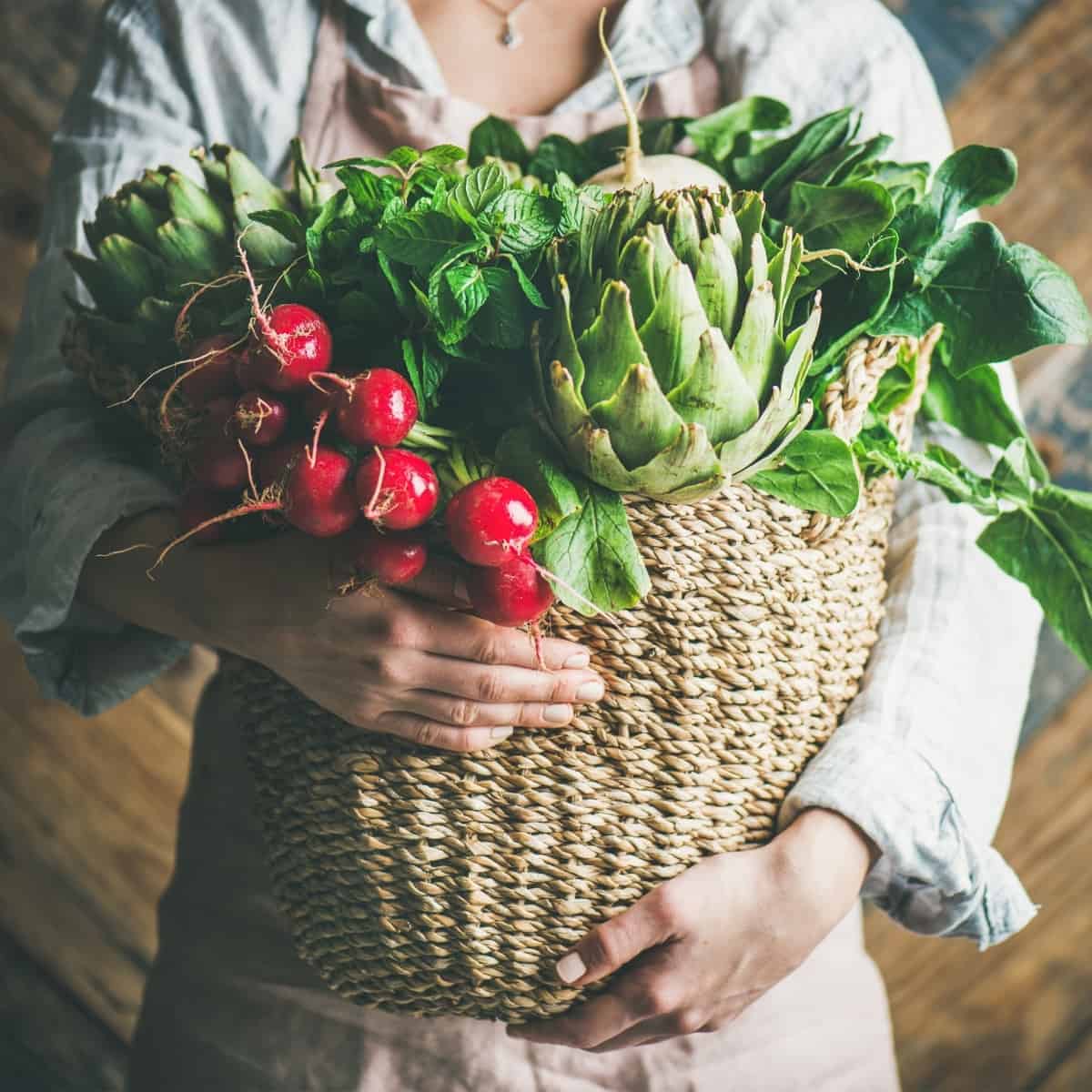 Creating a Kitchen Garden