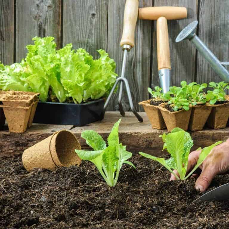 Resources for Garden Planning