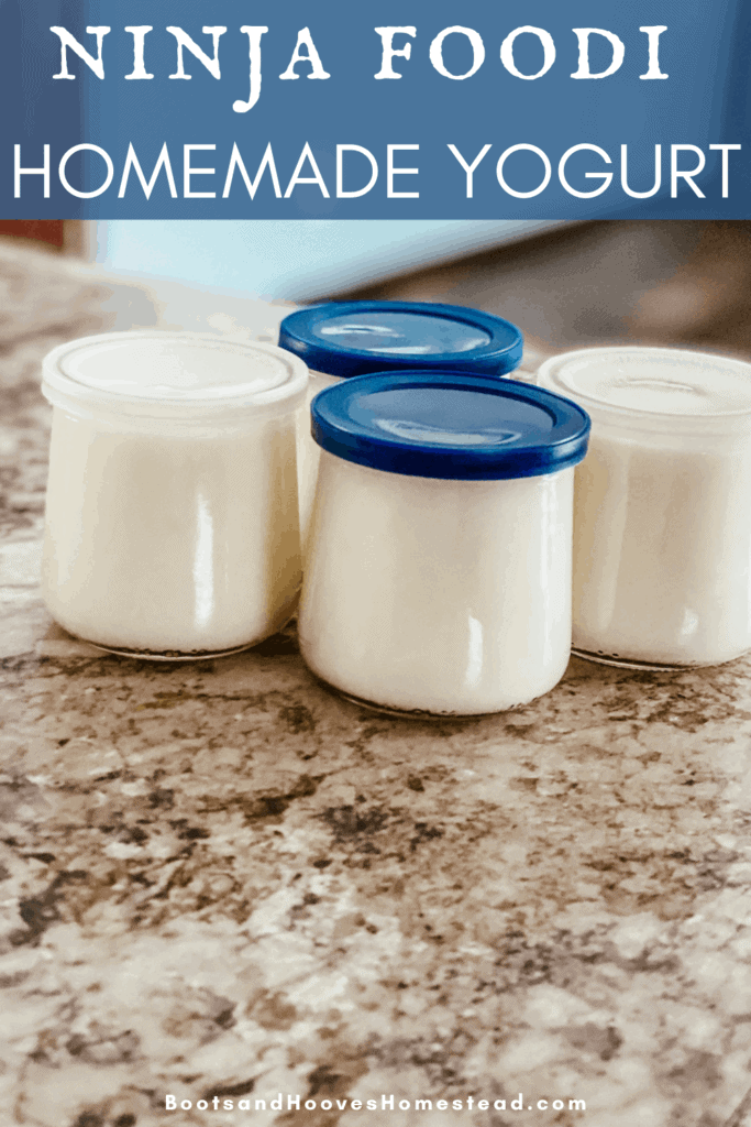 jars of homemade yogurt on countertop in kitchen