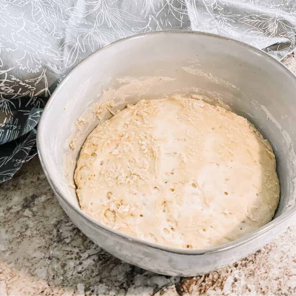 the artisan dough after it has risen 