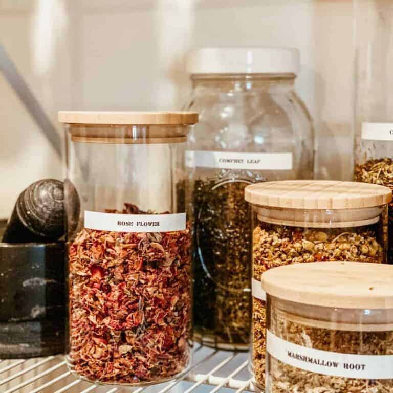 dried herbs in glass storage containers