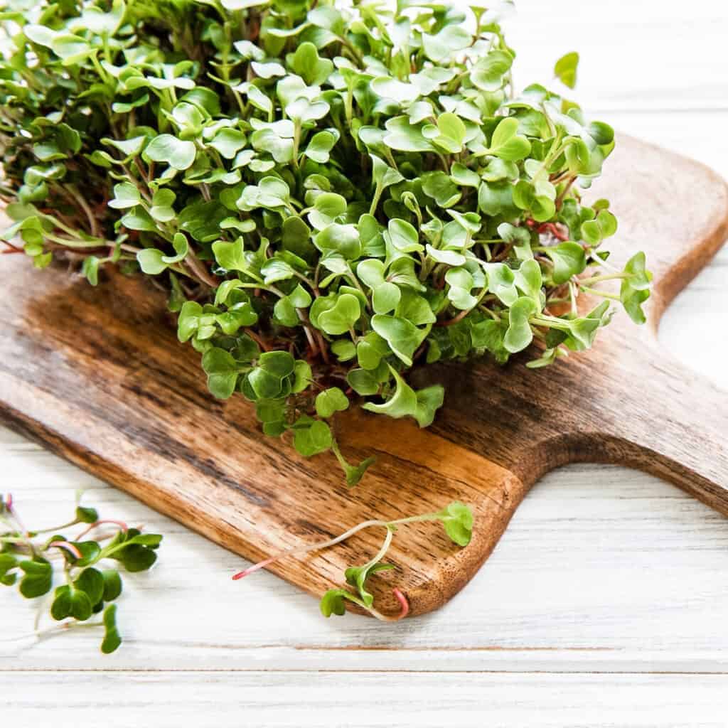 microgreens on a wooden cutting board 