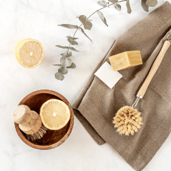 natural cleaning products with scrub brushes and eucalyptus leaves