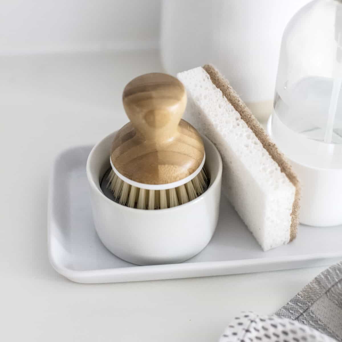 eco home dish brush and sponge.