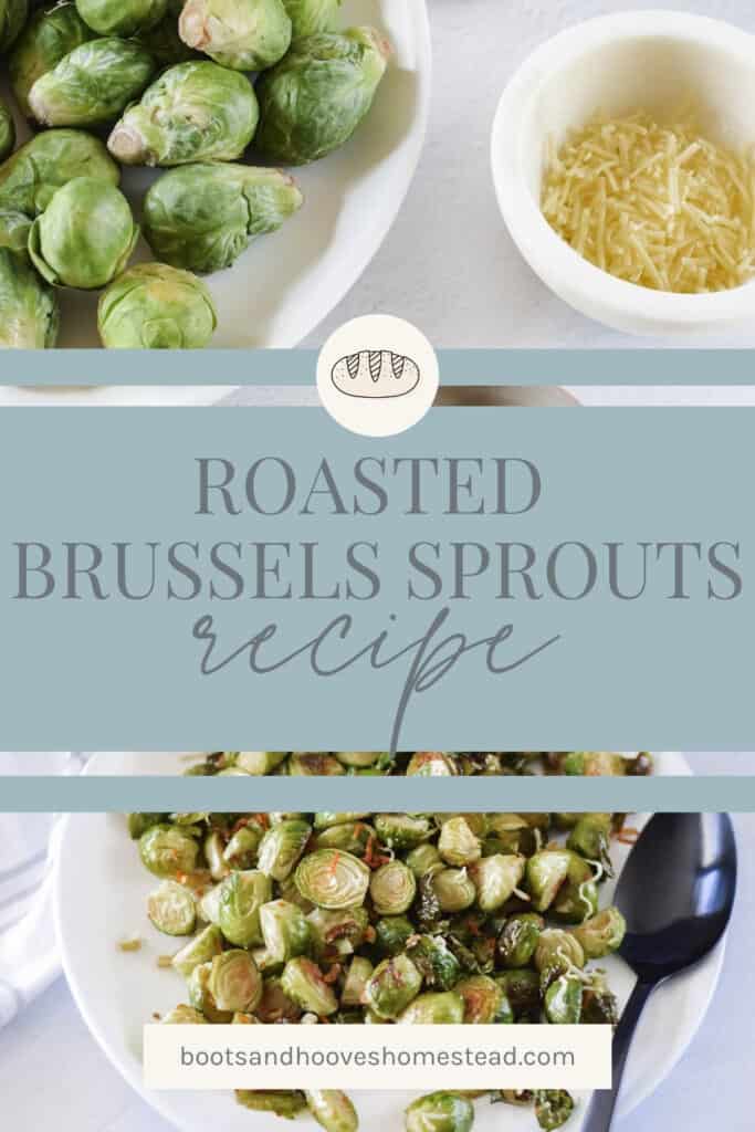 photo collage of Brussels sprouts and ingredients
