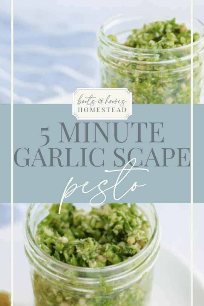 photo collage of the garlic scape pesto in mason jars