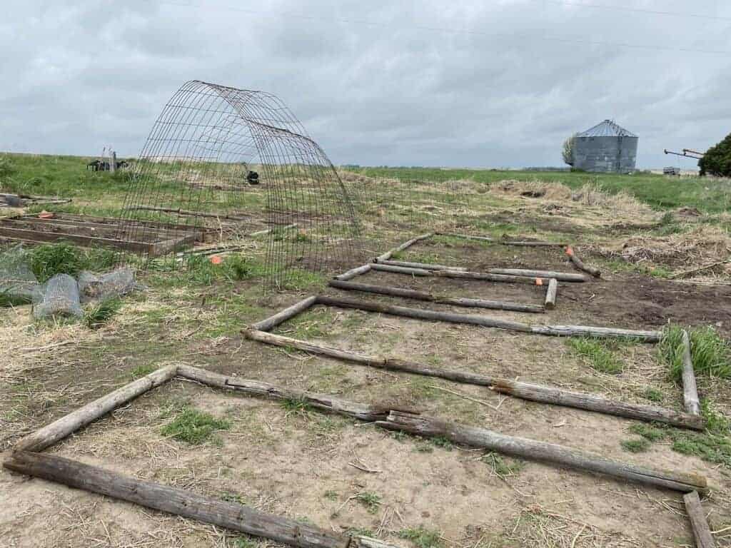 laying out the garden beds with old fence posts