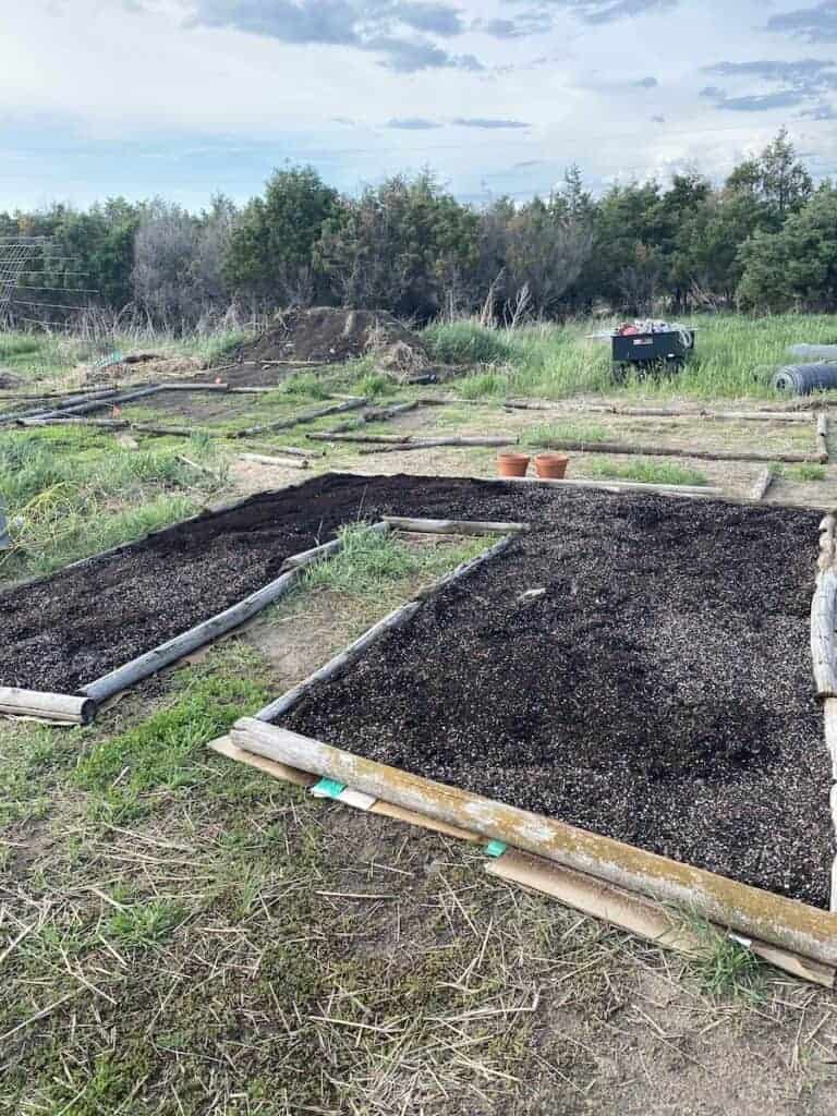 filling raised beds with compost