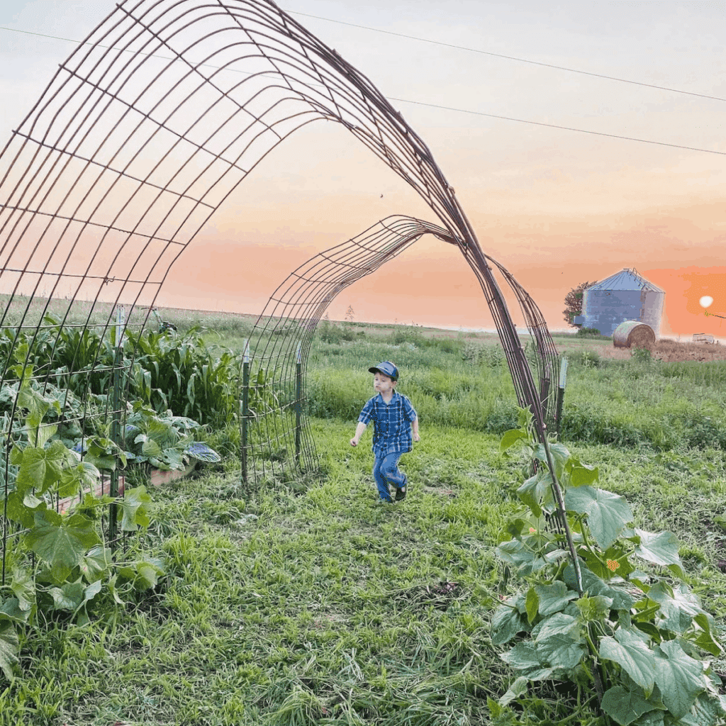 little boy running through the garden arch with the sunset in the background