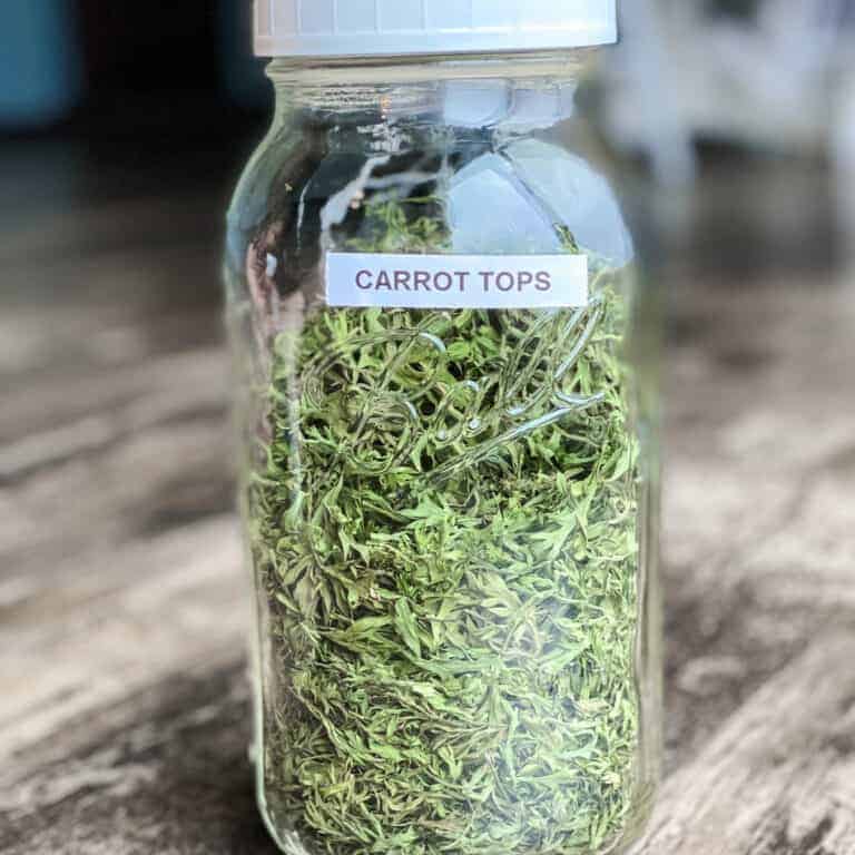 mason jar with dehydrated carrot tops