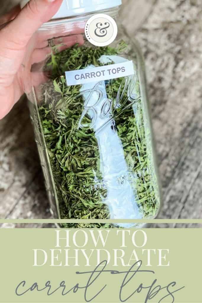 How to Dry Your Own Herbs in a Dehydrator - Roots & Boots