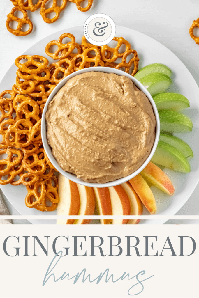 top down view of the platter of pretzels and apple slices spread around with a white bowl of the gingerbread hummus in the center