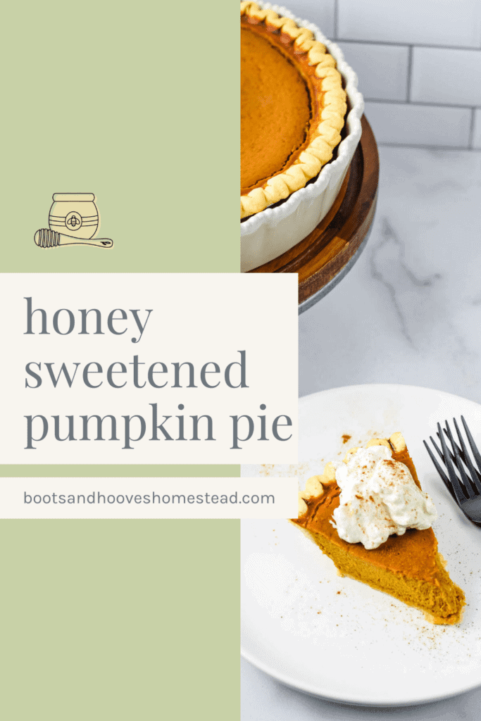 pumpkin pie slices with whipped cream and whole pie on stand in background
