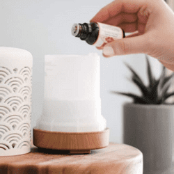 essential oil bottle with white diffuser and small plant in background