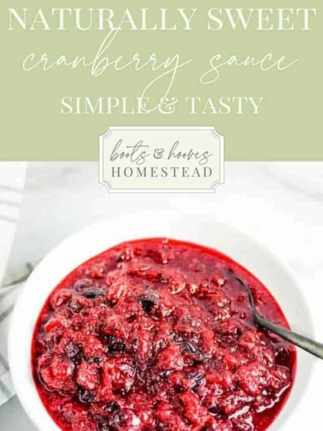 Naturally Sweet Cranberry Sauce Recipe with Honey