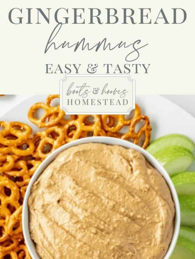 Gingerbread Hummus Dip