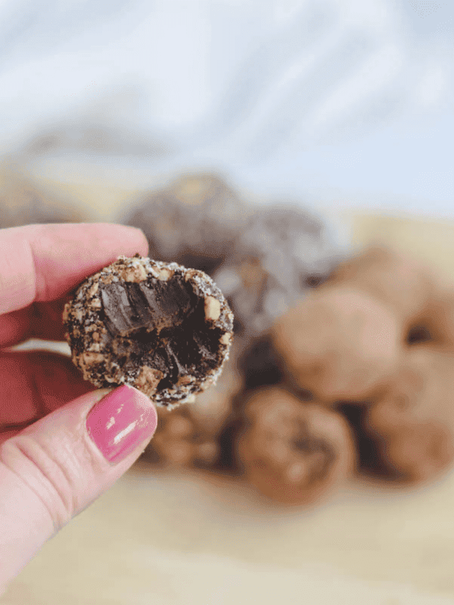 dark chocolate truffles rolled in coconuts and hazelnuts