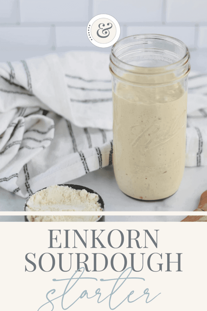 Einkorn Sourdough Starter - Boots & Hooves Homestead