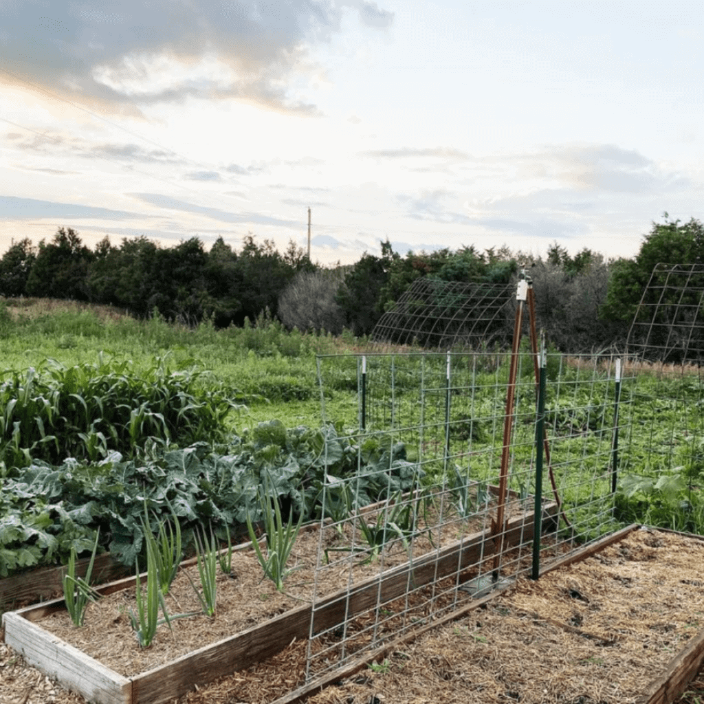 Save Space with Vertical Gardening - Boots & Hooves Homestead