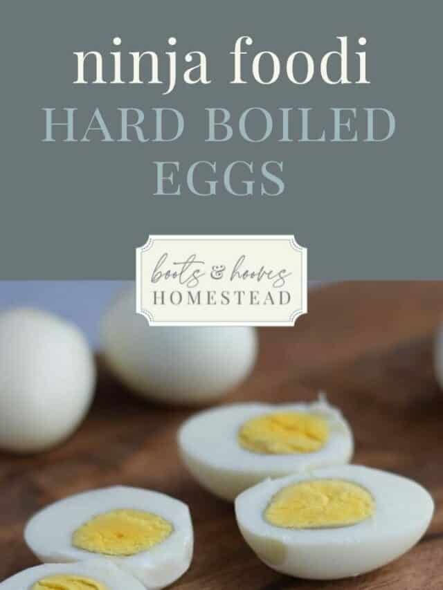 Pressure Cooker Hard Boiled Eggs
