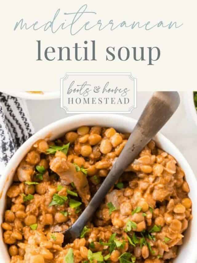 One Pot Mediterranean Lentil Soup