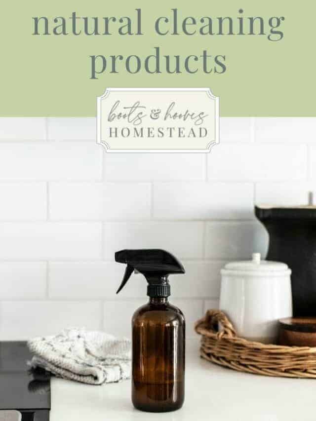Homemade Natural Cleaning Products eBook