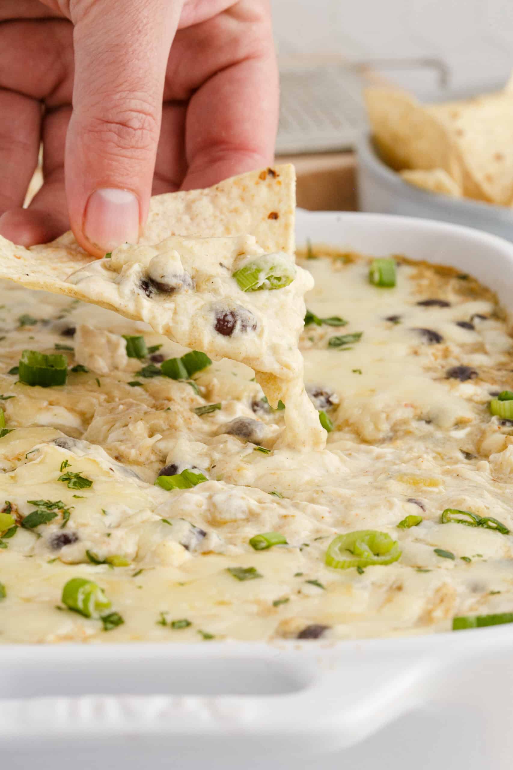 Creamy Chicken Enchilada Dip - Boots & Hooves Homestead