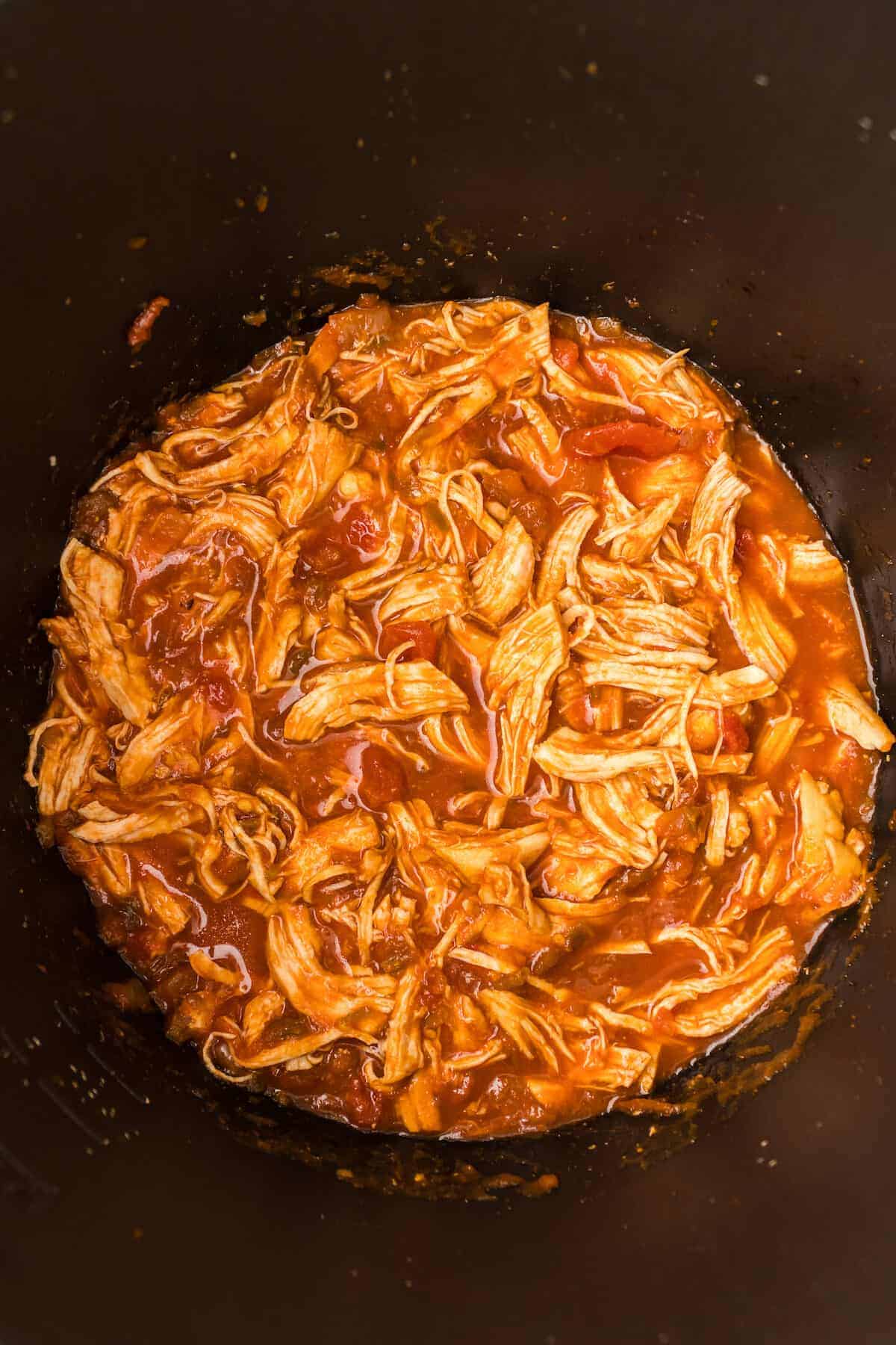 shredded chicken combined with the salsa. 