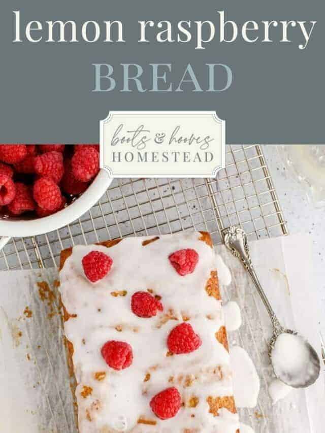 Lemon Raspberry Dessert Bread