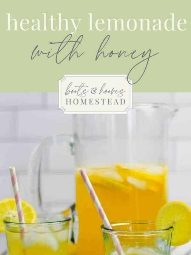 Healthy Lemonade with Honey